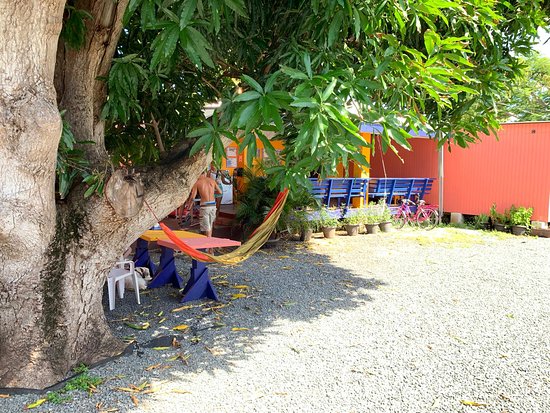 Lazy Guesthouse (NOT A HOSTEL)